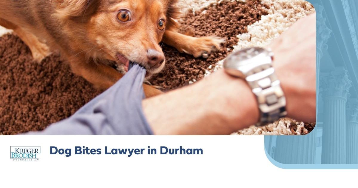 Dog Bites Lawyer in Durham